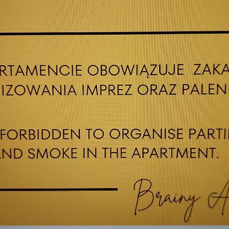 Brainy - North Bydgoszcz